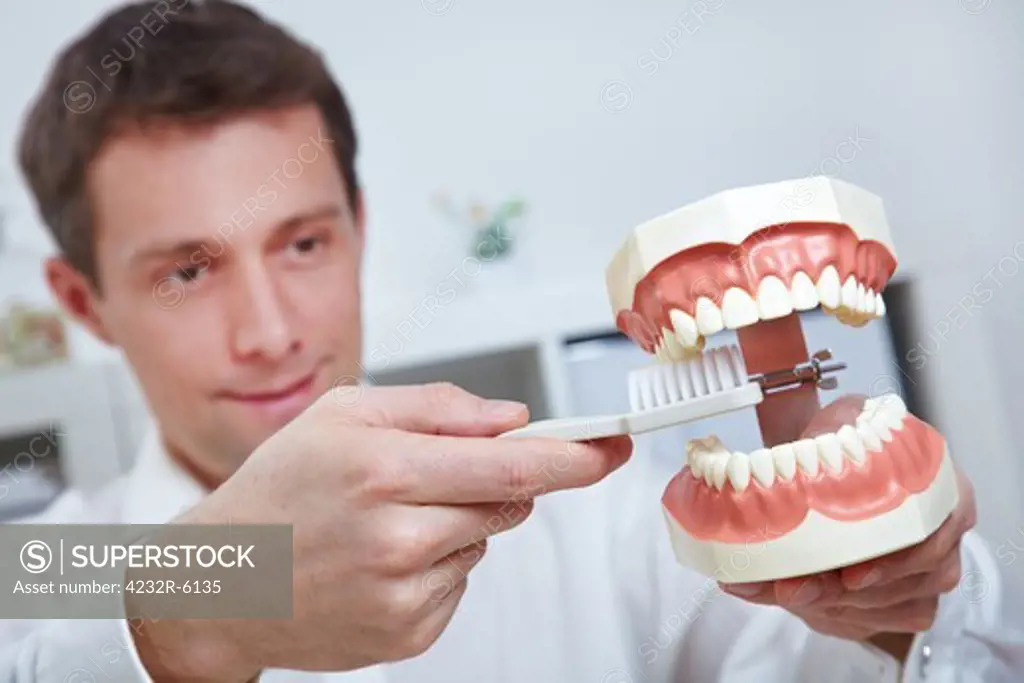 Dentist holding oversized teeth model and toothbrush in his office