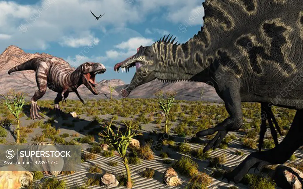 A confrontation between a T. Rex and a Spinosaurus dinosaur, both carnivores of their time.