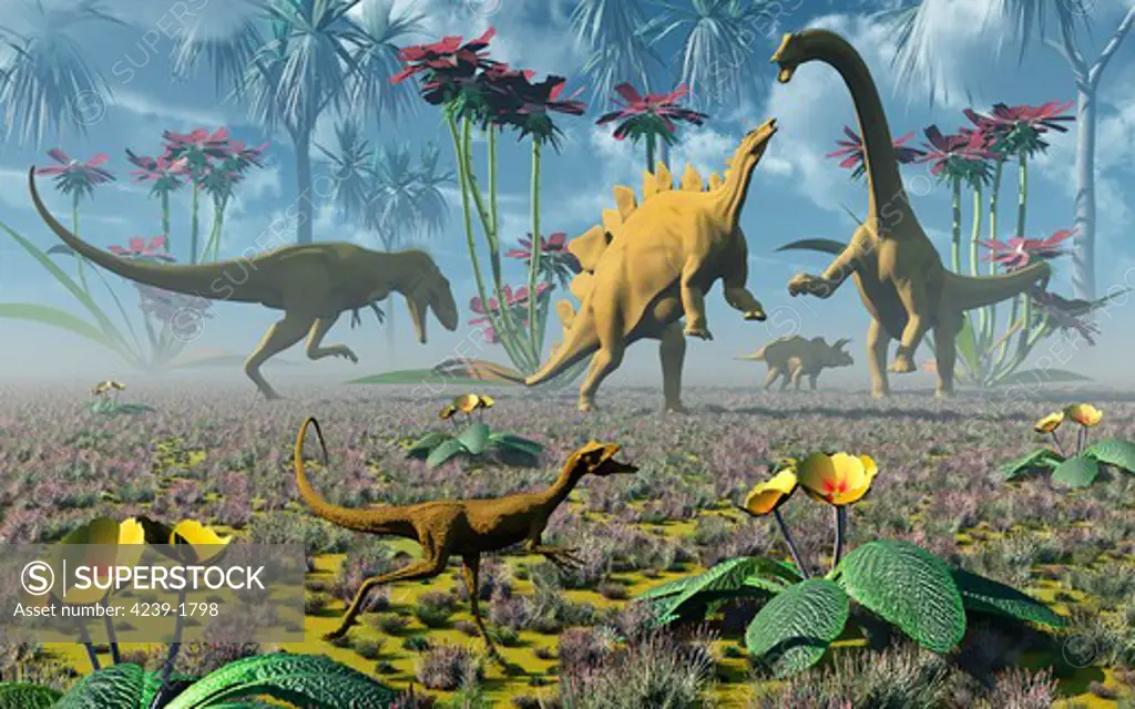 Dinosaurs running around an imaginative garden. Pictured are Compsognathus, Stegosaurus, Triceratops, Nanotyrannus and Camarasaurus.