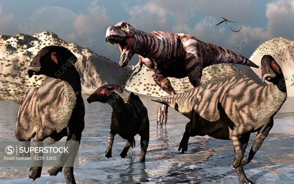 A Tyrannosaurus Rex moves in for the kill as Parasaurolophus Duckbill try to escape.