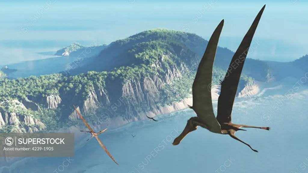 Species from the genus Anhanguera soar 105 million years ago over what is today Brazil. Anhanguera was a flying reptile with a wingspan of 15 feet, larger than any modern bird. Its diet is believed to have consisted primarily of fish.