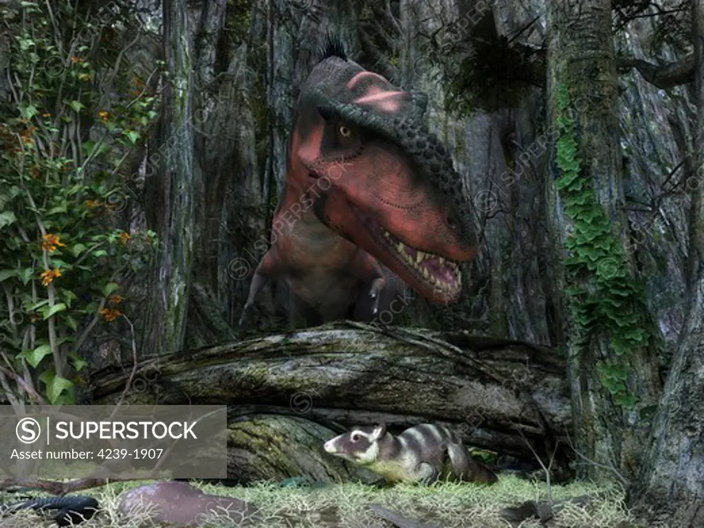 A rat-sized Purgatorius hides amongst the undergrowth of a cretaceous forest while a 30 foot long, 2,000 pound tyrannosaur forages for its next meal in what is today the western United States.