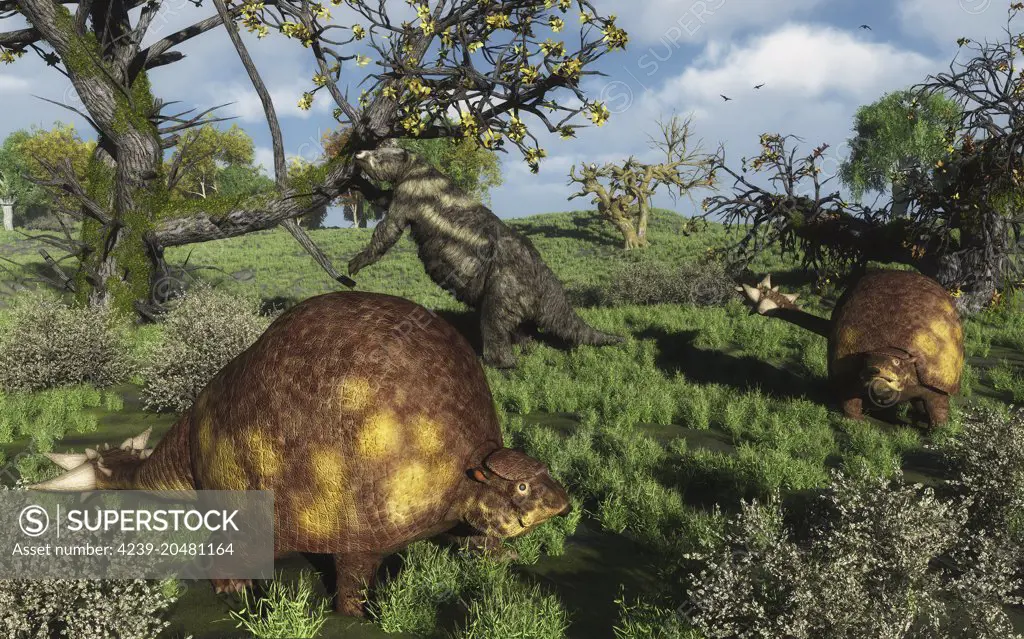 Prehistoric glyptodonts of the genus Doedicurus graze on grassy plains 25,000 years ago in what is today South America. In the background is a giant ground sloth of the genus Eremotherium.  With a turtle-like shell five feet tall and weighing over two tons, Doedicurus was the largest known glyptodontid, an extinct family of heavily-armored herbivores related to modern armadillos. Doedicurus carried a large spiked tail that could have helped protect it from large predators and other Doedicurus.  