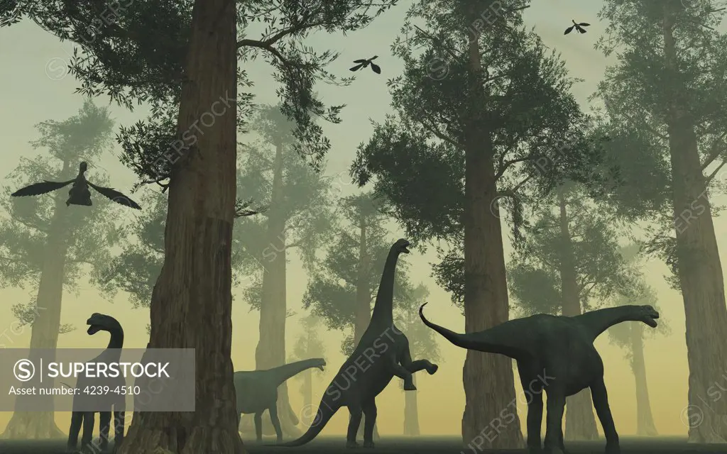 A herd of Camarasaurus dinosaurs from the late Jurassic period feeding peacefully at the end of another day.