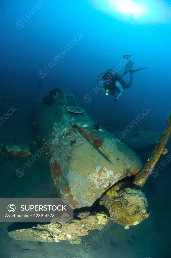 Diver explores the wreck of a Mitsubishi Zero fighter plane, Kimbe Bay, Papua New Guinea.