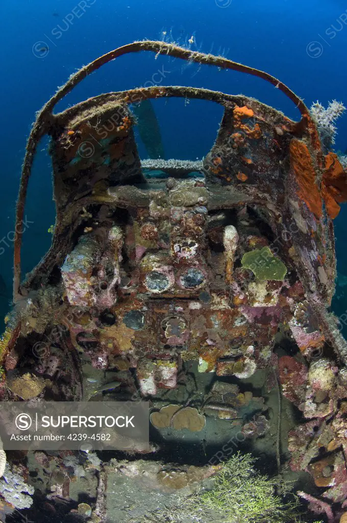 Cockpit of a Mitsubishi Zero fighter plane wreck underwater, Kimbe Bay, Papua New Guinea.