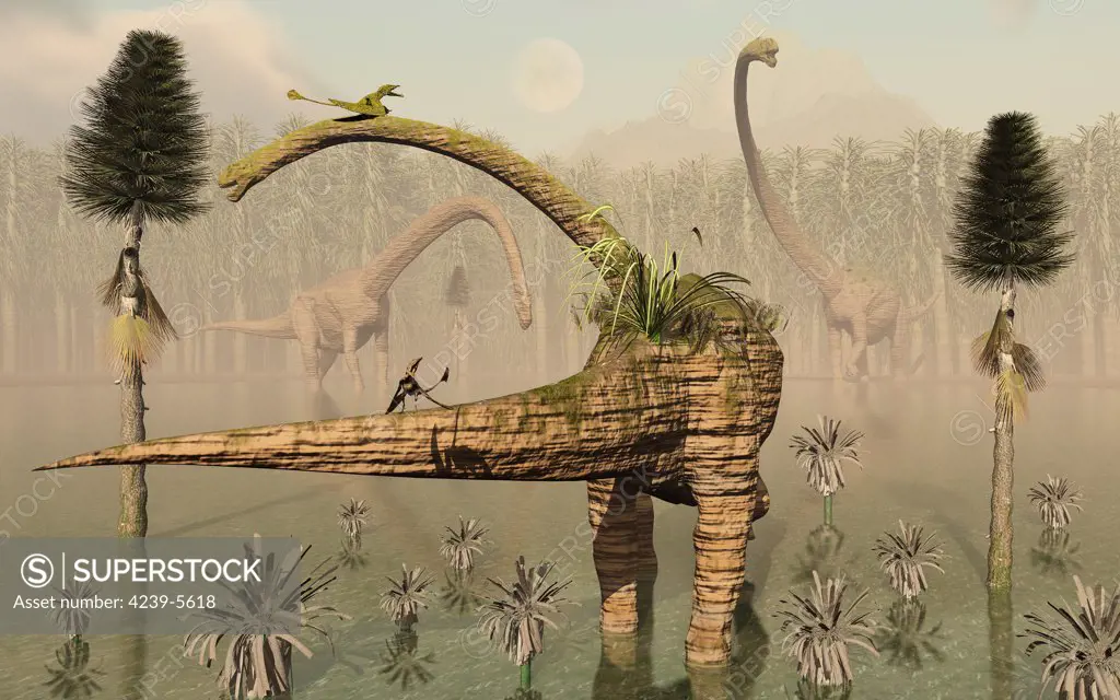 Living fossilized Omeisaurus sauropod dinosaurs going about life in a prehistoric landscape.
