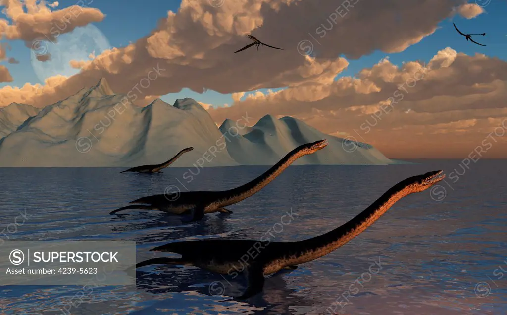 Around the world there have been numerous sightings of strange creatures that best resemble prehistoric Plesiosaurs, including the famous Loch Ness sightings.