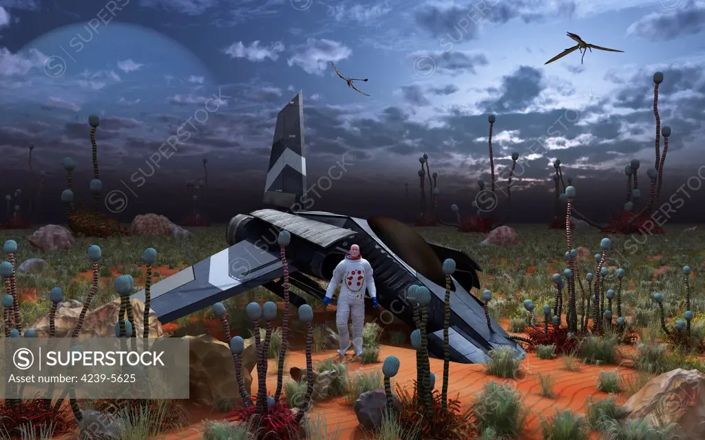 A human astronaut surveys the desert like landscape of an alien world, where he was forced to make an emergency landing.