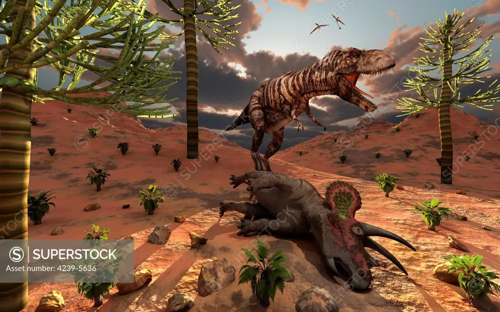 A T-Rex comes across the carcass of a dead Triceratops dinosaur.