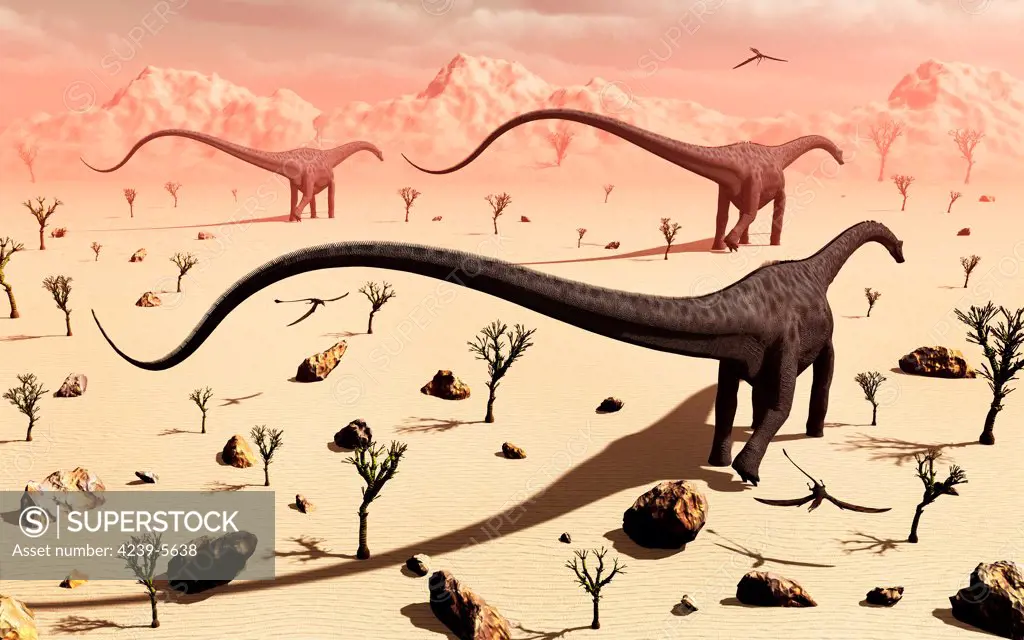 A small group of Diplodocus sauropod dinosaurs walk through a desert-like region in search of greener pastures.
