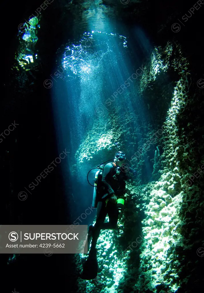 A diver explores the amazing underwater cavern known as Lerus Cut, Russell Islands, Solomons.