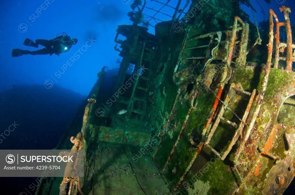 A diver explores the wreck of the Soltai 61 that lies vertically jammed against a reef, Solomon Islands.