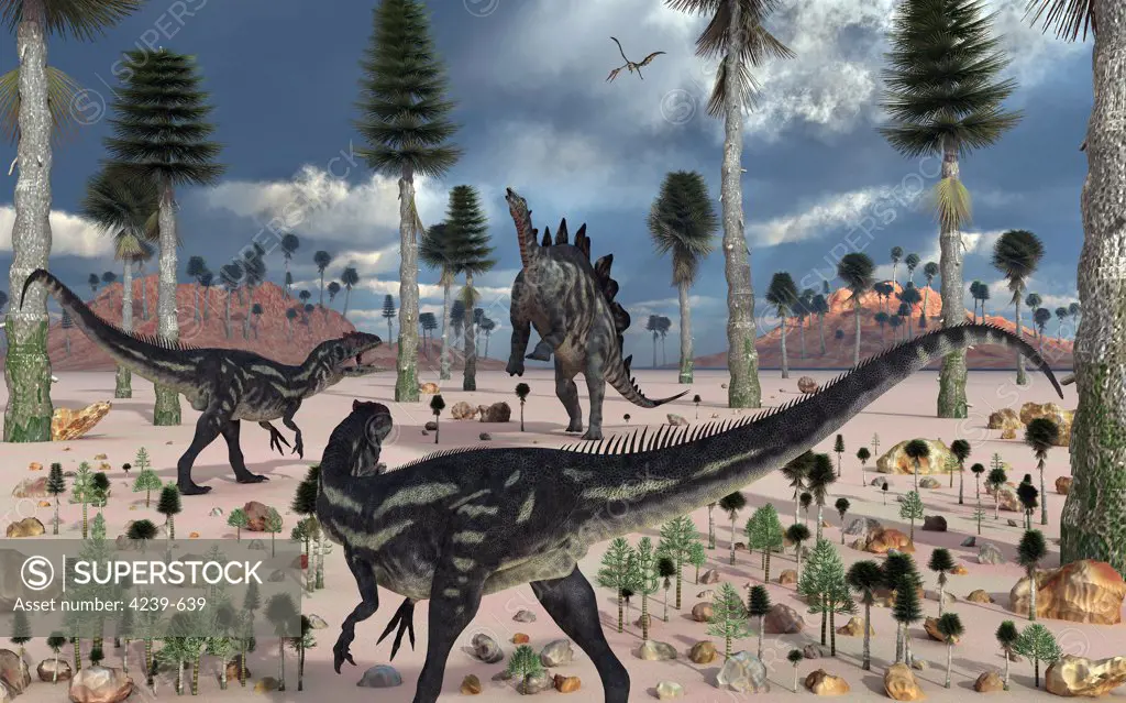 A pair of carnivorous Allosaurus dinosaurs confront a lone herbivorous Stegosaurus back in the Jurassic period
