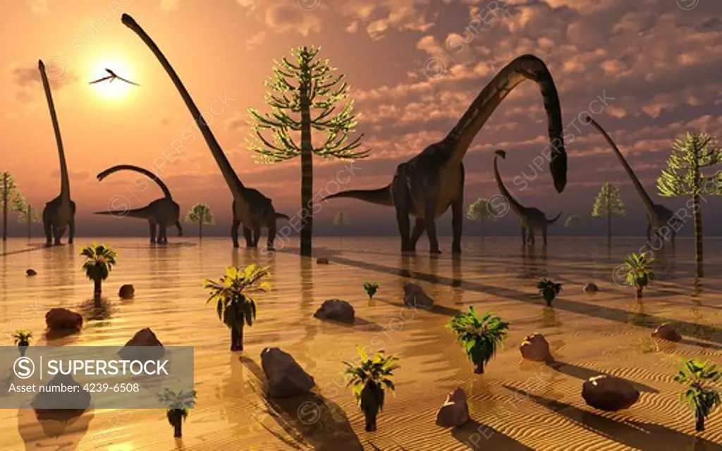 A small herd of Omeisaurus sauropod dinosaurs relaxing at the end of another prehistoric day.