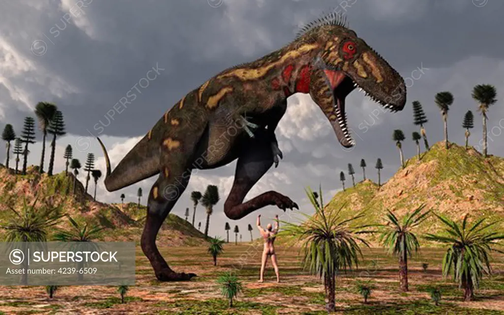 The old question of evolution or creation, as a nano-tyrannosaurus takes on Adam the first man.