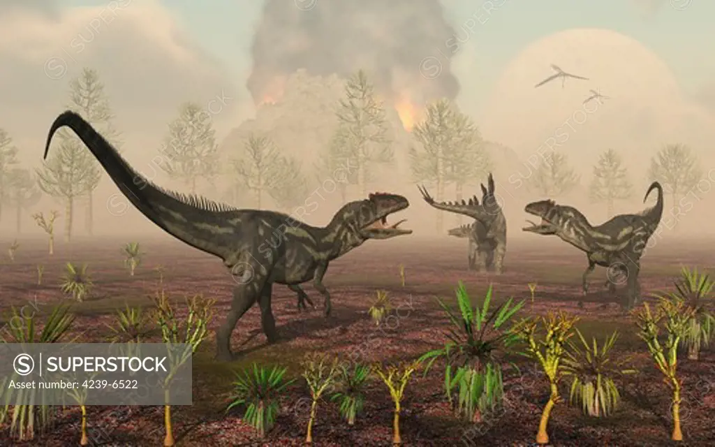 A pair of carnivorous Allosaurus dinosaurs tracking down a lone herbivorous Stegosaurus.