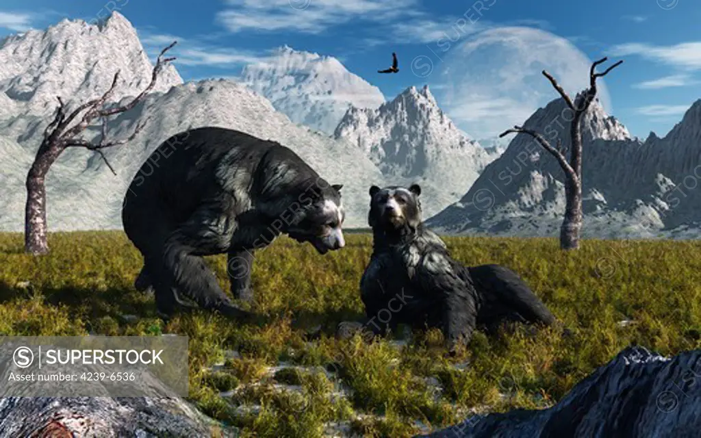 A pair of Arctodus bears, also known as short-faced bears, courting each other during Earth's Pleistocene era.