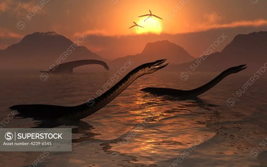 A group of Plesiosaurs during Earth's Jurassic Era.