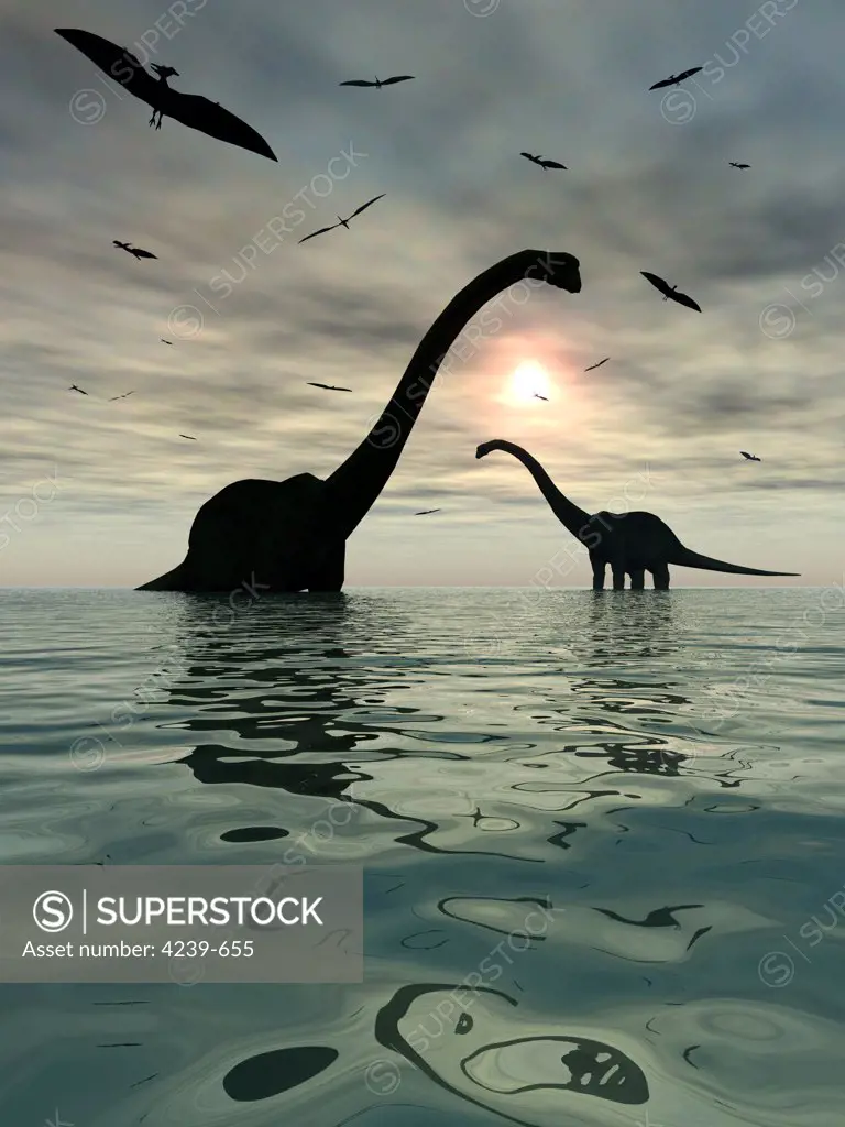 Giant sauropod Diplodocus dinosaurs relax at the end of a long hot day by bathing in the nearest body of water