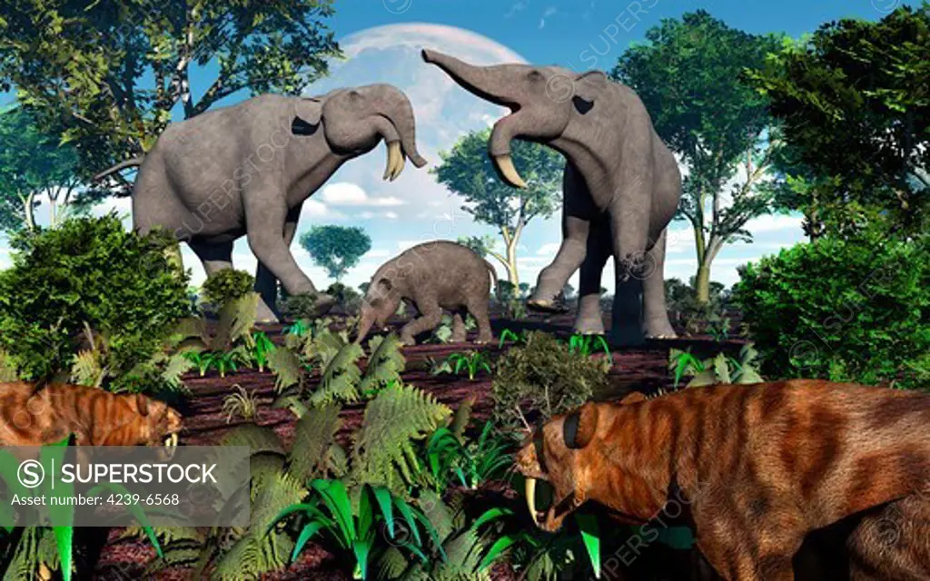 A pair of Sabre-Toothed Tigers stalking a family of Deinotherium in hopes they can catch the two adults off guard, and possibly attack their young calf.