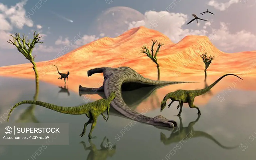 A pack of carnivorous Dilophosaurus scavaging a free meal in the form of a dead sauropod dinosaur, which died of natural causes back in Earth's Jurassic Era.