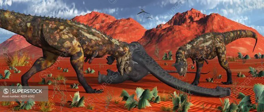 A pair of carnivorous Carnotaurus dinosaurs about to devour the remains of a dead sauropod.