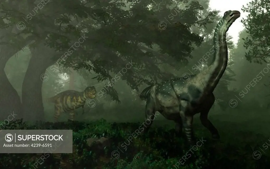 A 30-foot-long, 10 ton juvenile titanosaurian sauropod dinosaur of the genus Antarctosaurus is approached from behind by a 25-foot-long, two ton adult abelisaurid theropod dinosaur of the genus Abelisaurus