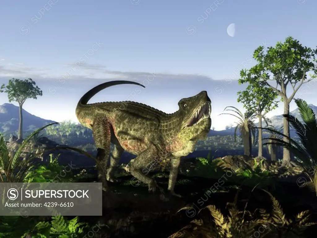 A 12-foot-long, 1,000 pound rauisuchian archosaur of the genus Postosuchus wanders a hilltop 220 million years ago in what is today Texas.