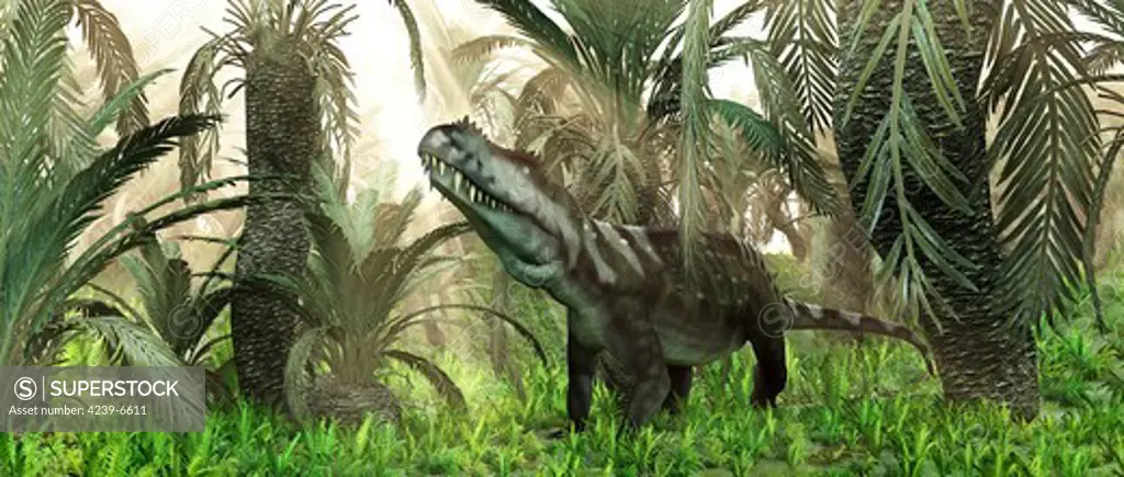 A 15-foot-long, 500 pound rauisuchian archosaur of the genus Prestosuchus wanders amidst cycads and ferns in a swamp 230 million years ago in what is today Brazil.