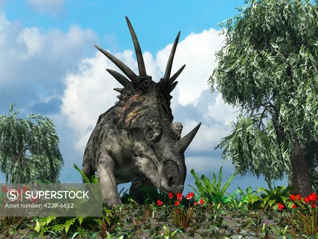 A 17-foot-long, three ton herbivorous ceratopsian dinosaur of the genus Styracosaurus samples flowers of the order Ericales amidst varieties of fern 76 million years ago in North America. Flanking the Styracosaurus are willows of the genus Salix.