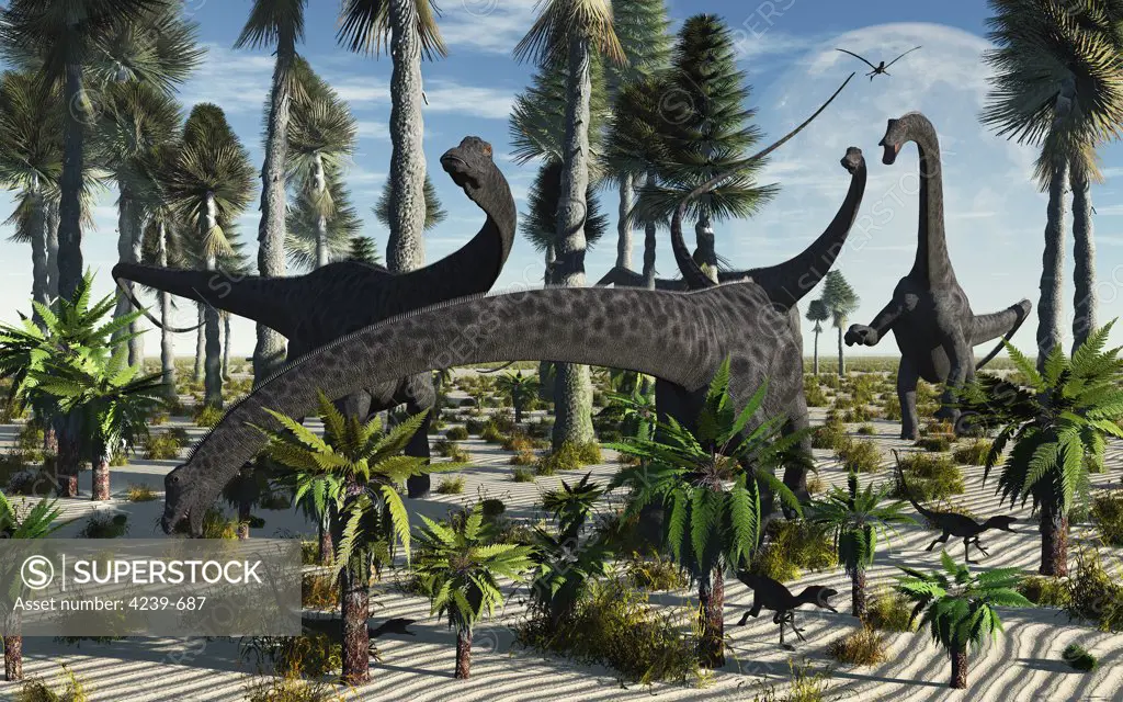 These juvenile Diplodocus dinosaurs know that until they reach full size and maturity, they are targets of attack by predators such as the Allosaurus