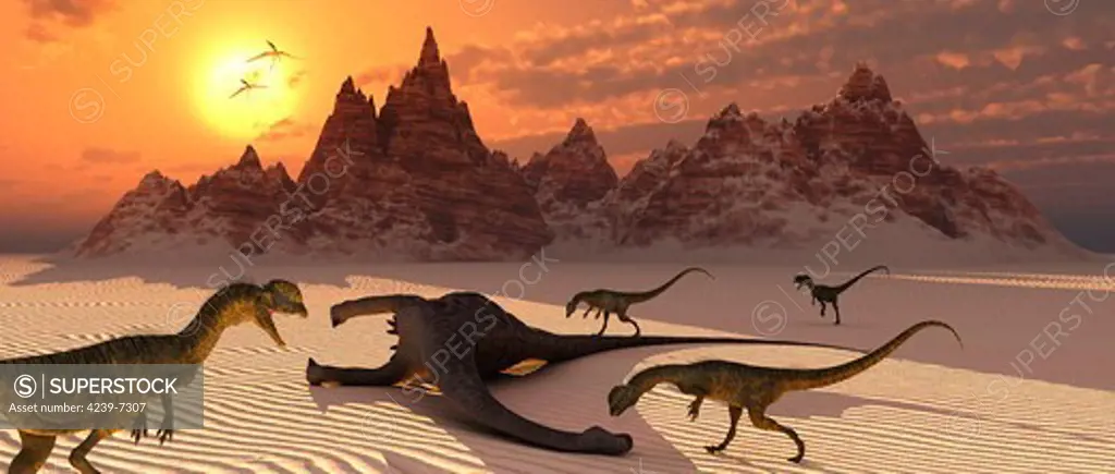 Carniverous Dilophosaurus making a meal of a sauropod carcass.