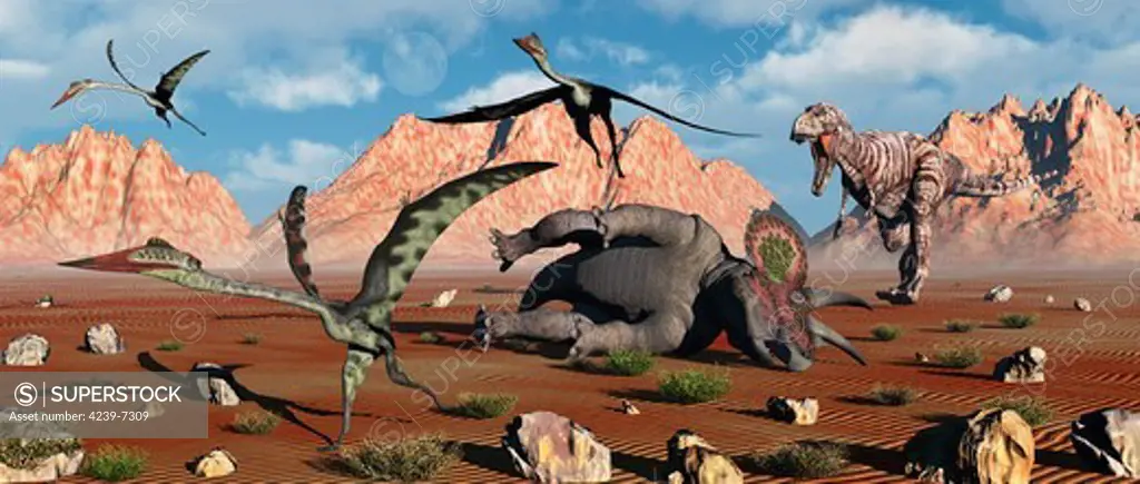 Giant Quetzalcoatlus flee from their scavaging as a Tyrannosaurus Rex comes to claim their meal.