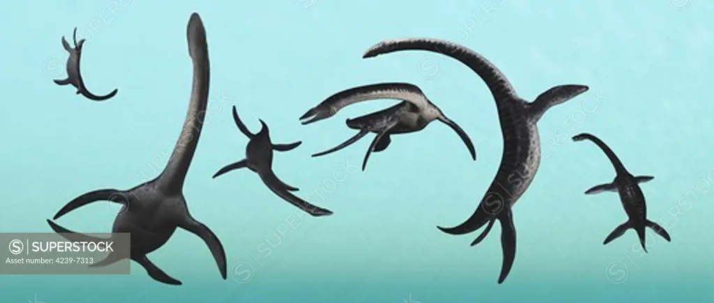 Plesiosaurs gather at their underwater playground.
