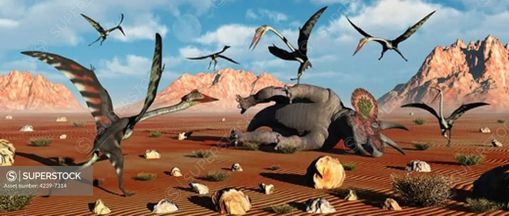Giant Quetzalcoatlus scavage at the remains of a dead ceratopsian dinosaur.