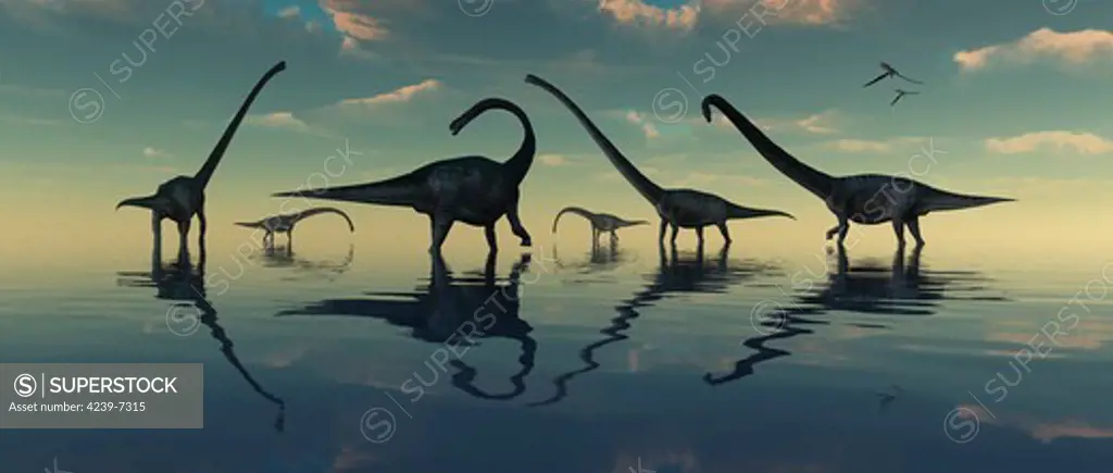 A calm reflective scene featuring giant sauropods of the prehistoric age.