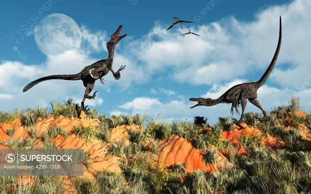 A pair of velociraptors involved in a territorial dispute during daylight hours.