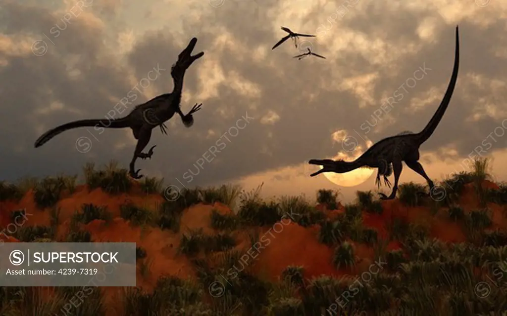 A pair of velociraptors involved in a territorial dispute on a prehistoric evening.