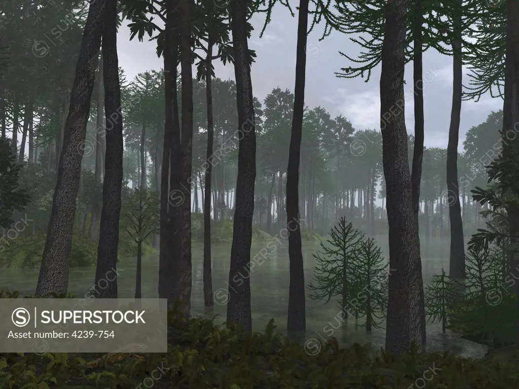 A forest of Cordaites and Araucaria in a rainstorm during the Late (Lopingian) Permian/Early Triassic period about 250 million years ago