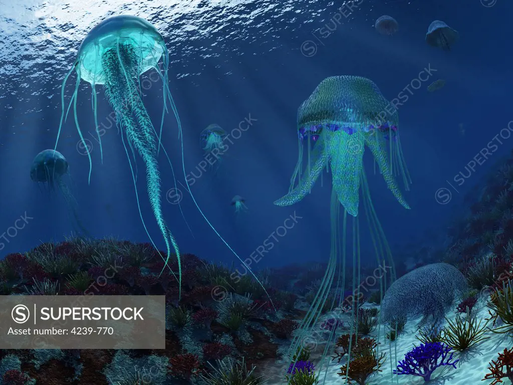 A smack, or swarm, of jellyfish swim the Panthalassic Ocean 500 million years ago during the Cambrian Period