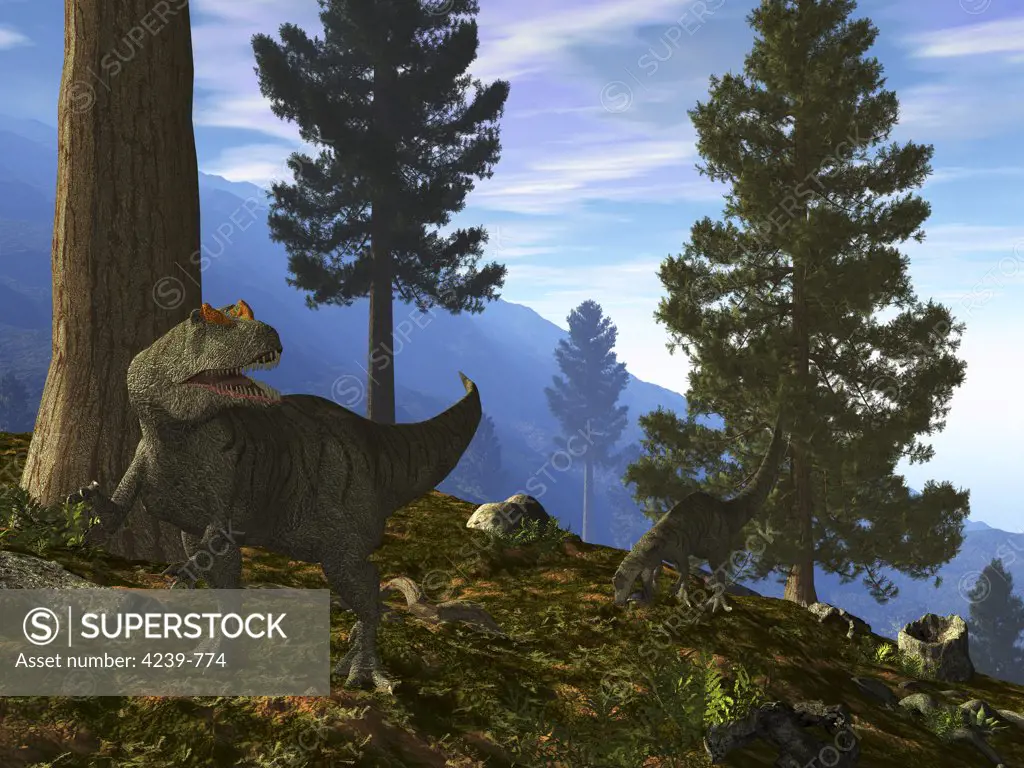A pair of Allosaurus search for dinner in the pre-twilight of a lush mountainside forest