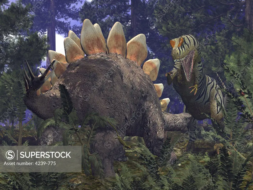 An Allosaurus stumbles upon a grazing Stegosaurus in a Jurassic Redwood forest