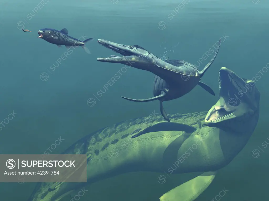 Artist's concept of primary marine predators that shared the ocean waters of the Western Interior Seaway of North America 75 million years ago