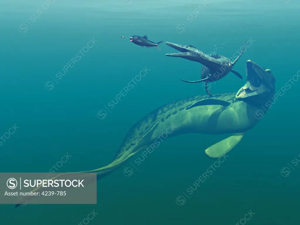 Artist's concept of primary marine predators that shared the ocean waters of the Western Interior Seaway of North America 75 million years ago