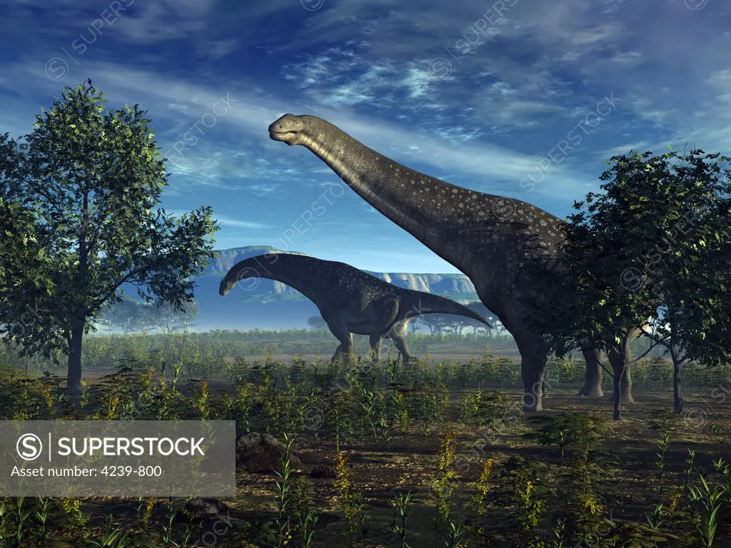 A pair of massive Isisaurus colberti wander lush plains 70 million years ago in what is today central India