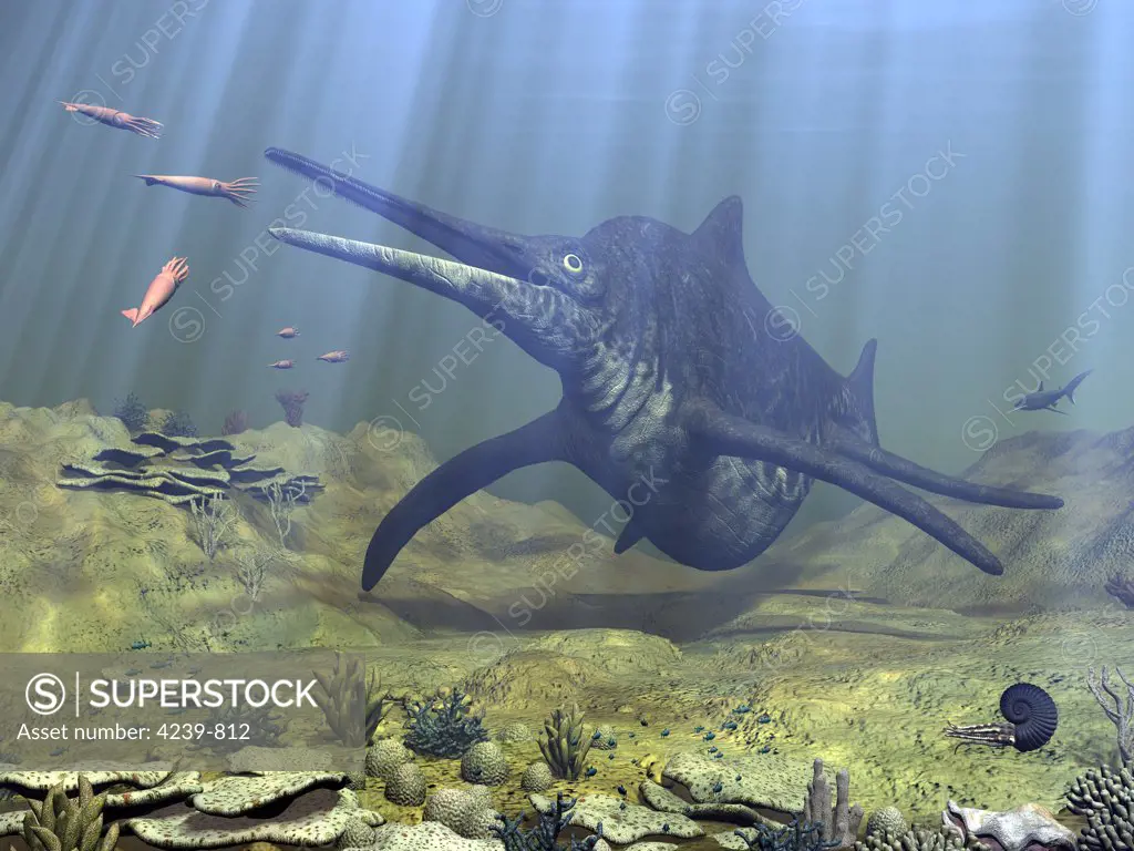 A massive, 30-ton Shonisaurus, the largest known ichthyosaur (marine reptile) attempts to make a meal of a school of squid-like Belemnites