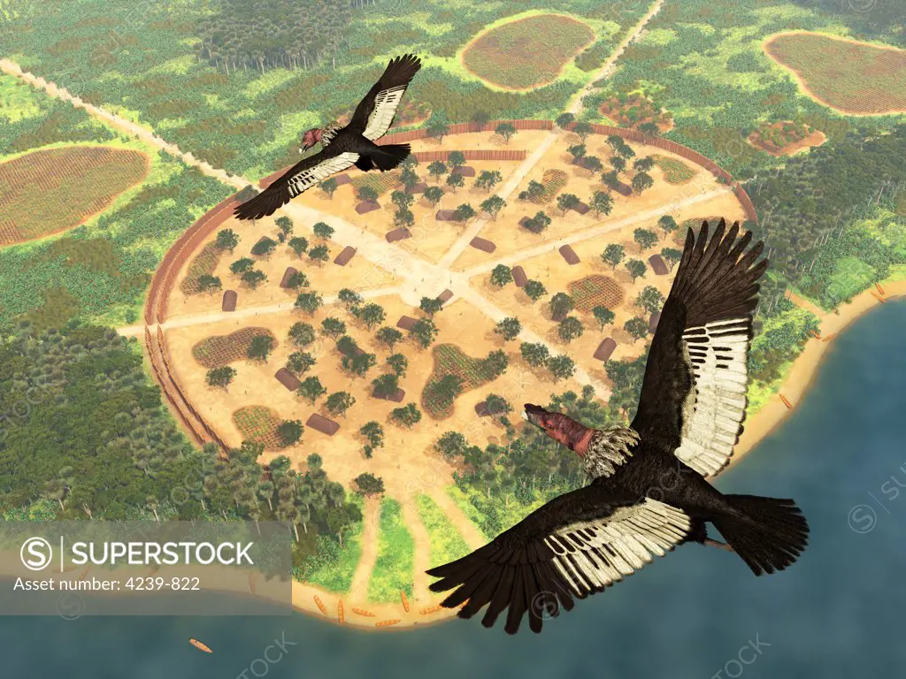 A pair of Andean Condors, male and female, fly over a village in the Amazon basin 1,700 years ago