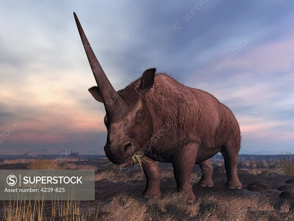 An Elasmotherium grazes on the ancient steppe of what is today Southern Russia