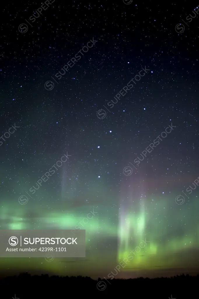 Aurora Borealis outside of Sangudo, Alberta, Canada
